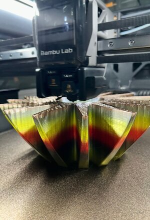 whatsapp image 2026-03-02 at 10